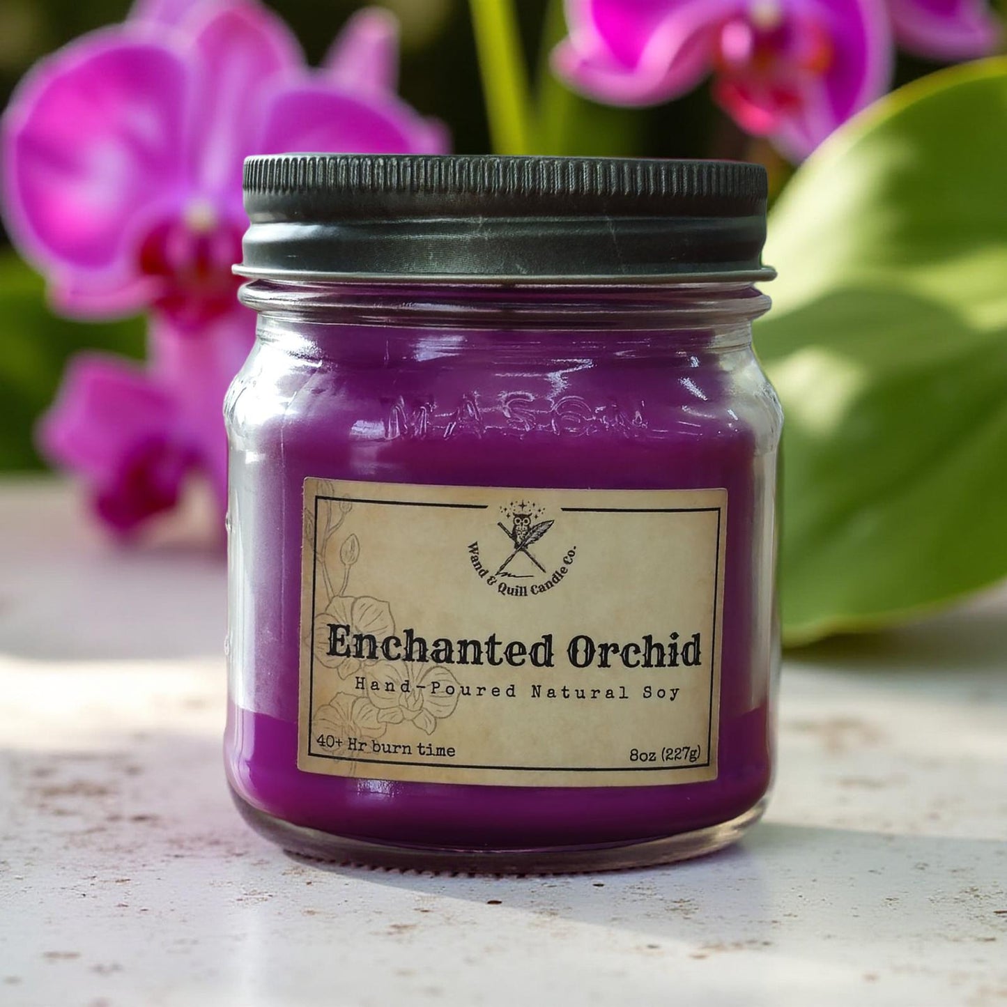 Enchanted Orchid