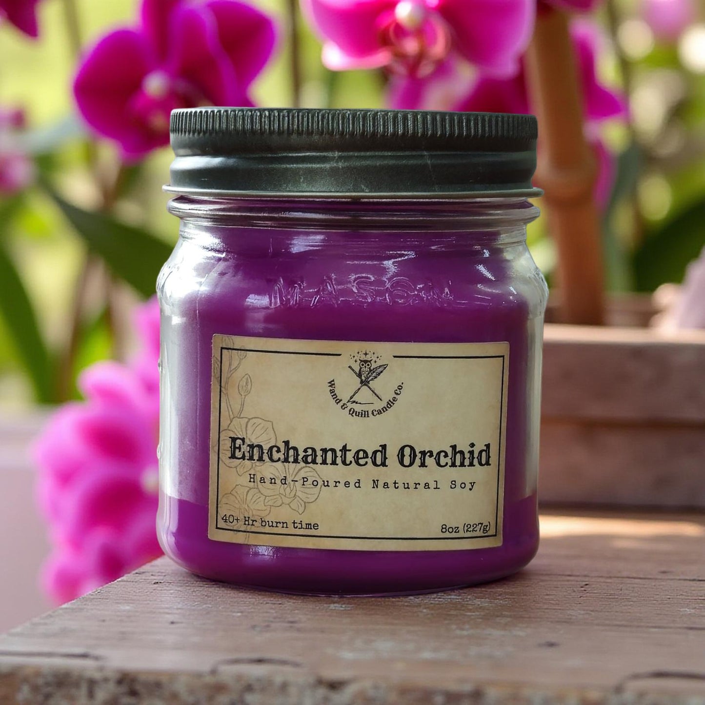 Enchanted Orchid